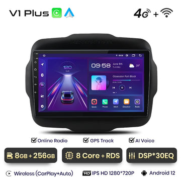 V1 Plus (8 GB 256 GB)