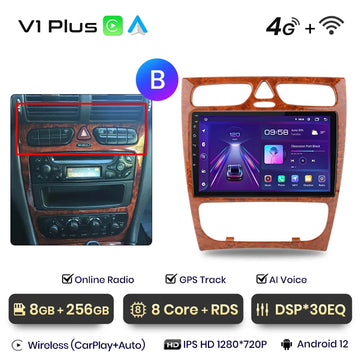 V1 Plus (8 GB 256 GB)B
